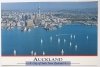 AUCKLAND. CITY OF SAILS NEW ZEALAND. YACHTS BREEZE PAST AUCKLANDS DOWNTOWN WATERFRONT